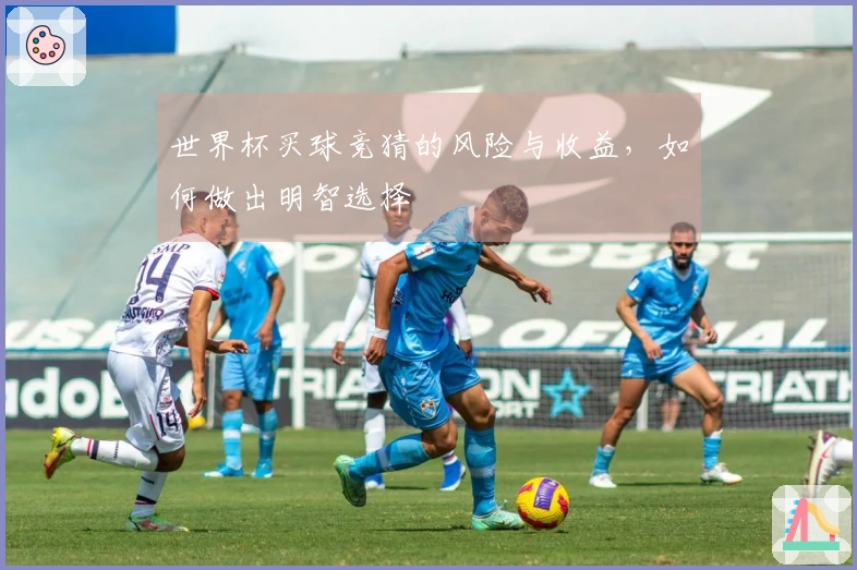 世界杯买球竞猜的风险与收益，如何做出明智选择