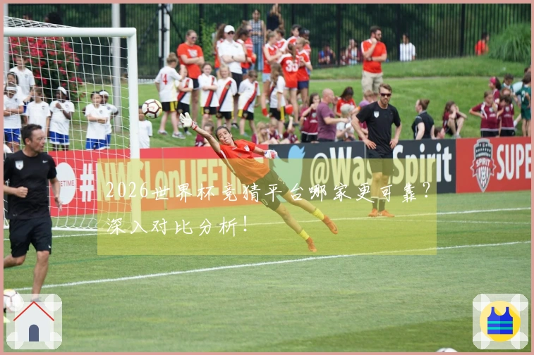 2026世界杯竞猜平台哪家更可靠？深入对比分析！