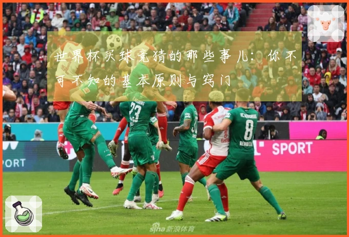 世界杯买球竞猜的那些事儿：你不可不知的基本原则与窍门