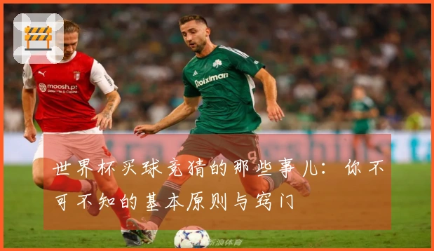 世界杯买球竞猜的那些事儿：你不可不知的基本原则与窍门